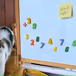 Daire La Casa Di Nonna Piera *