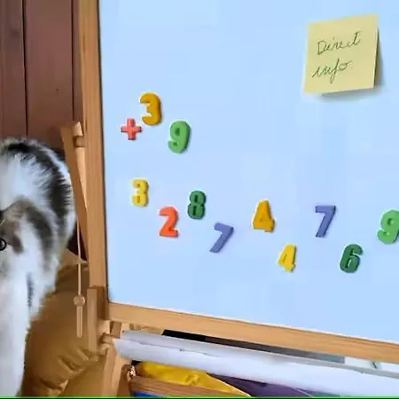 Daire La Casa Di Nonna Piera *